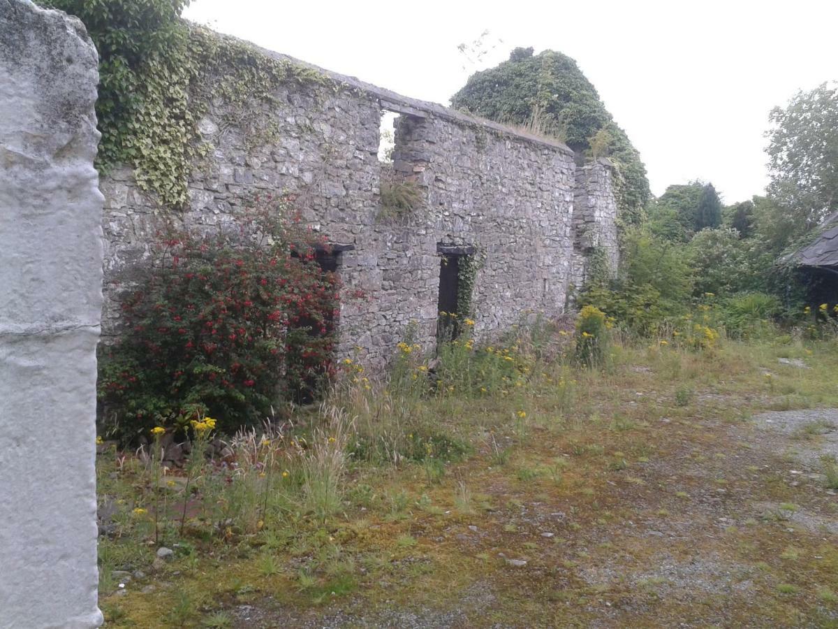 Apartamento The Townhouse Claremorris Exterior foto